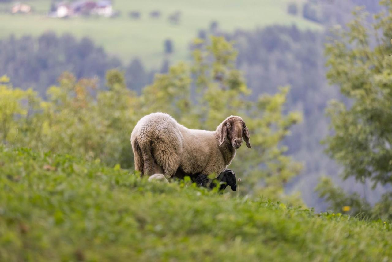 Oberplunerhof - Fewo Kronplatz Kiens Dış mekan fotoğraf